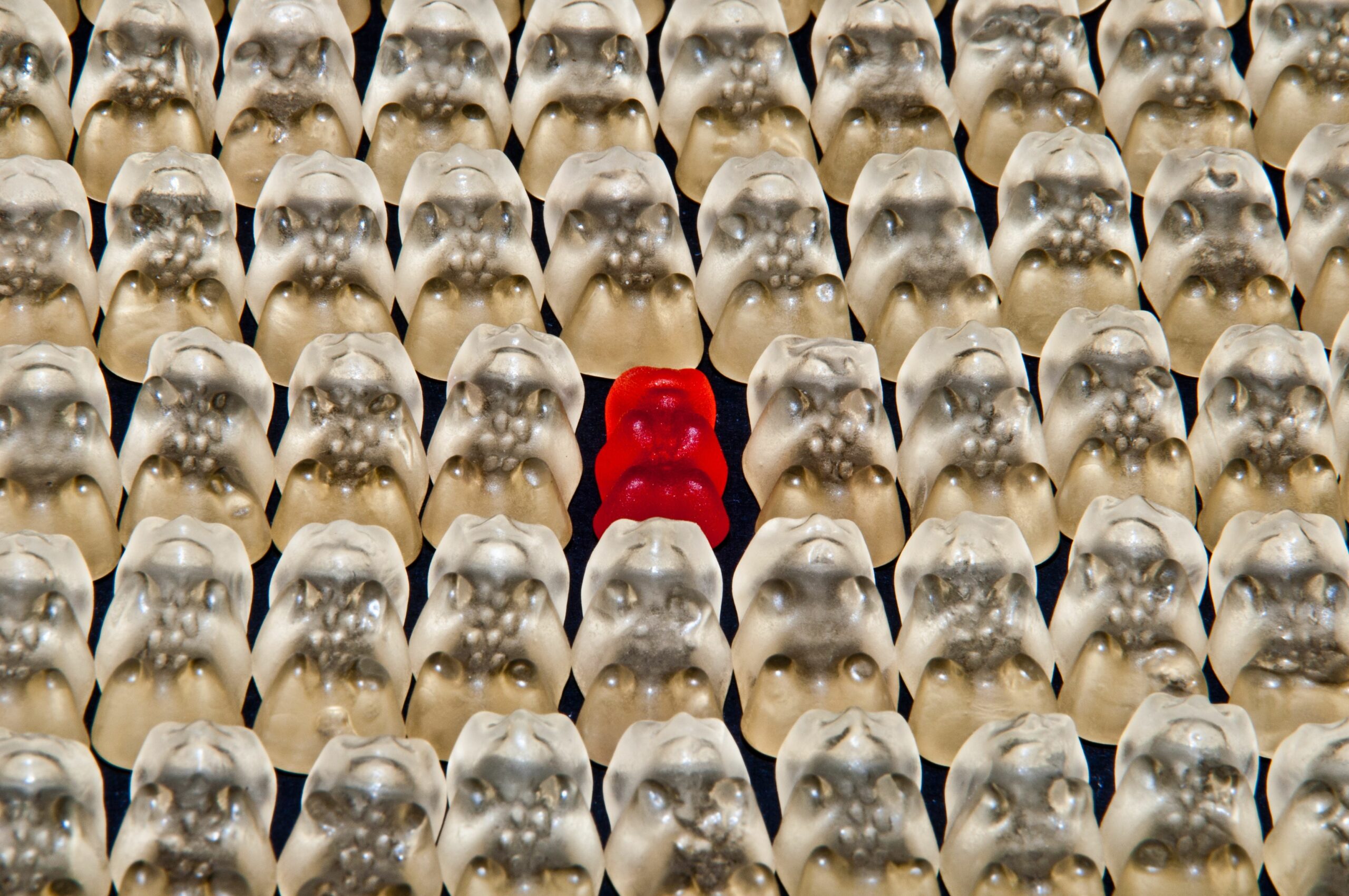 Creating a Great Profile: How to Stand Out as a Service Provider
